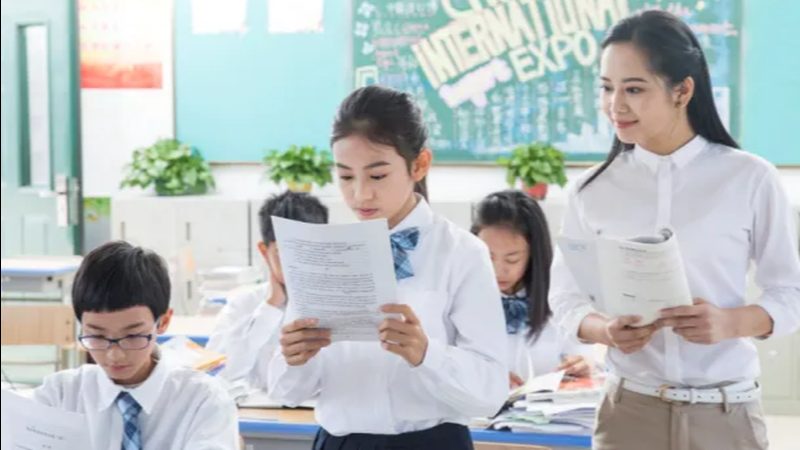 教师资格证协议班，揭秘其背后的服务内涵
